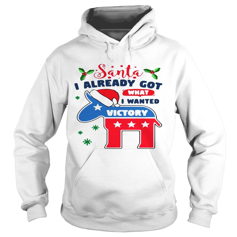 Awesome Joe Biden Santa I Already Got What I Wanted Victory Christmas  Hoodie