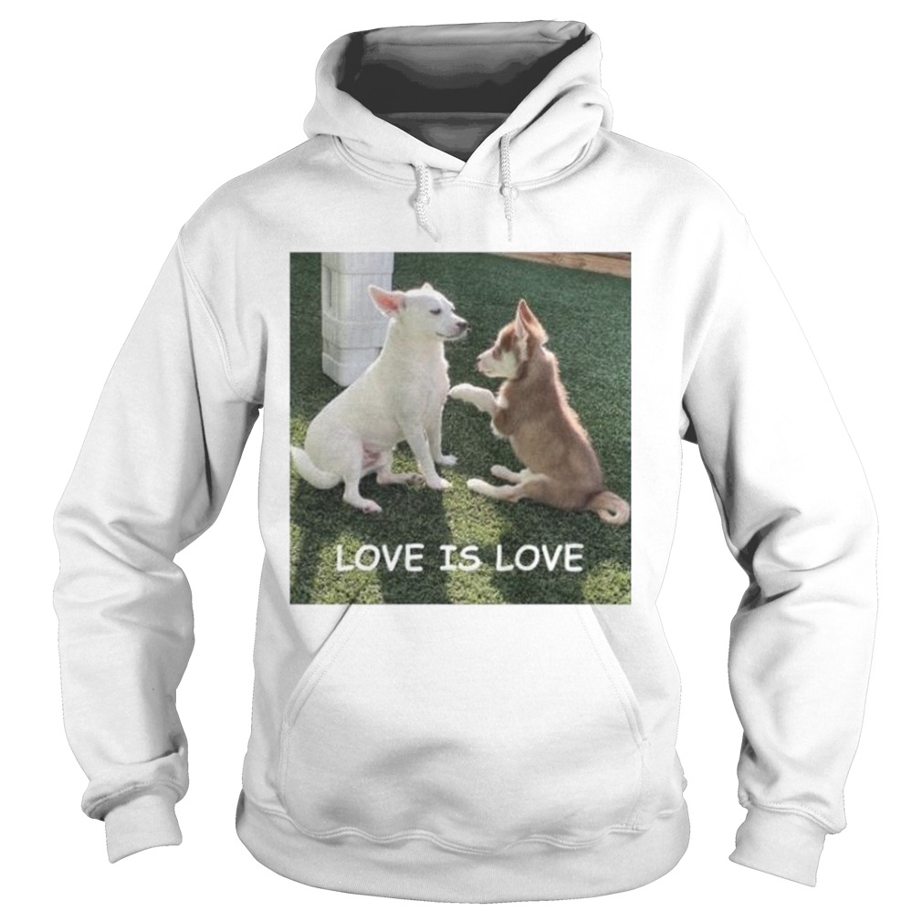 Bryson And Balto Love Is Love Hoodie