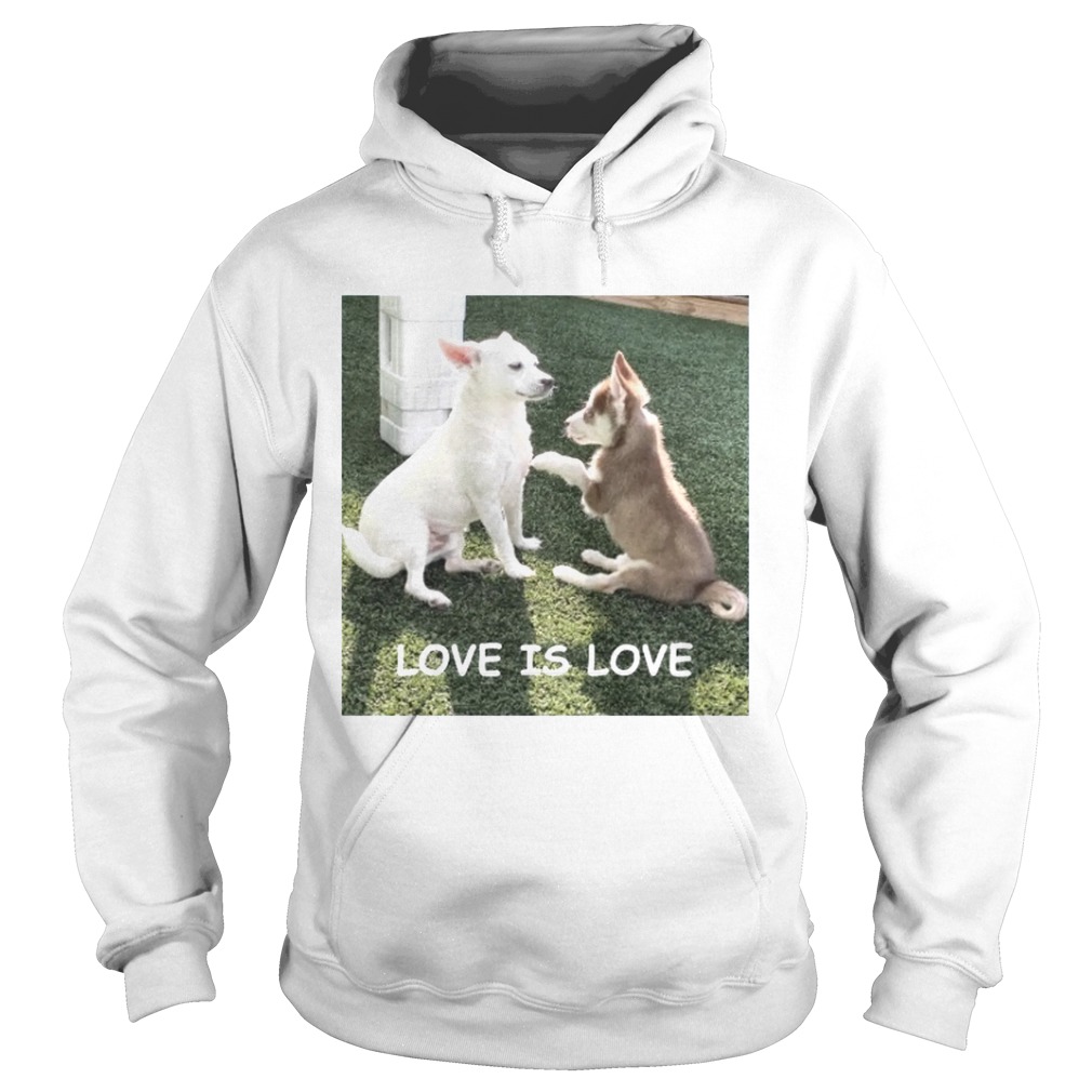 Bryson And Balto Love Is Love  Hoodie