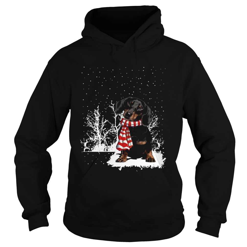 Dachshund Merry Christmas Hoodie