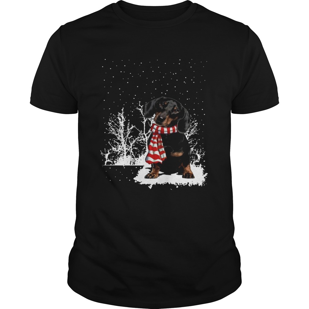 Dachshund Merry Christmas shirt