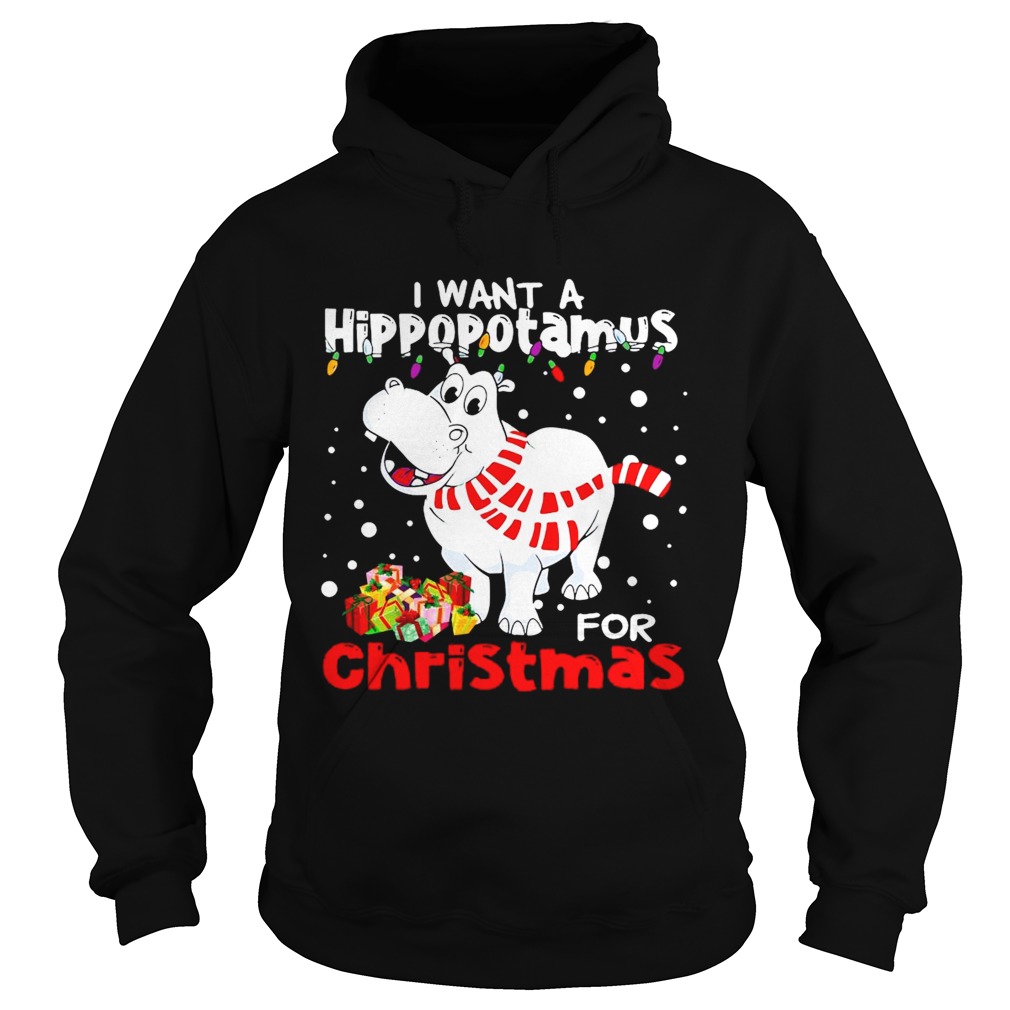 I Want A Hippopotamus For Christmas Hoodie