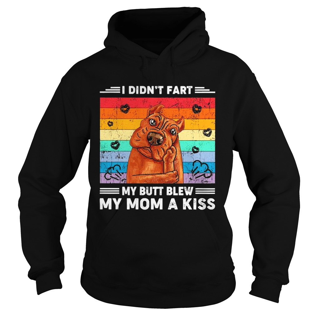 I didnt fart my butt blew my mom a kiss vintage  Hoodie