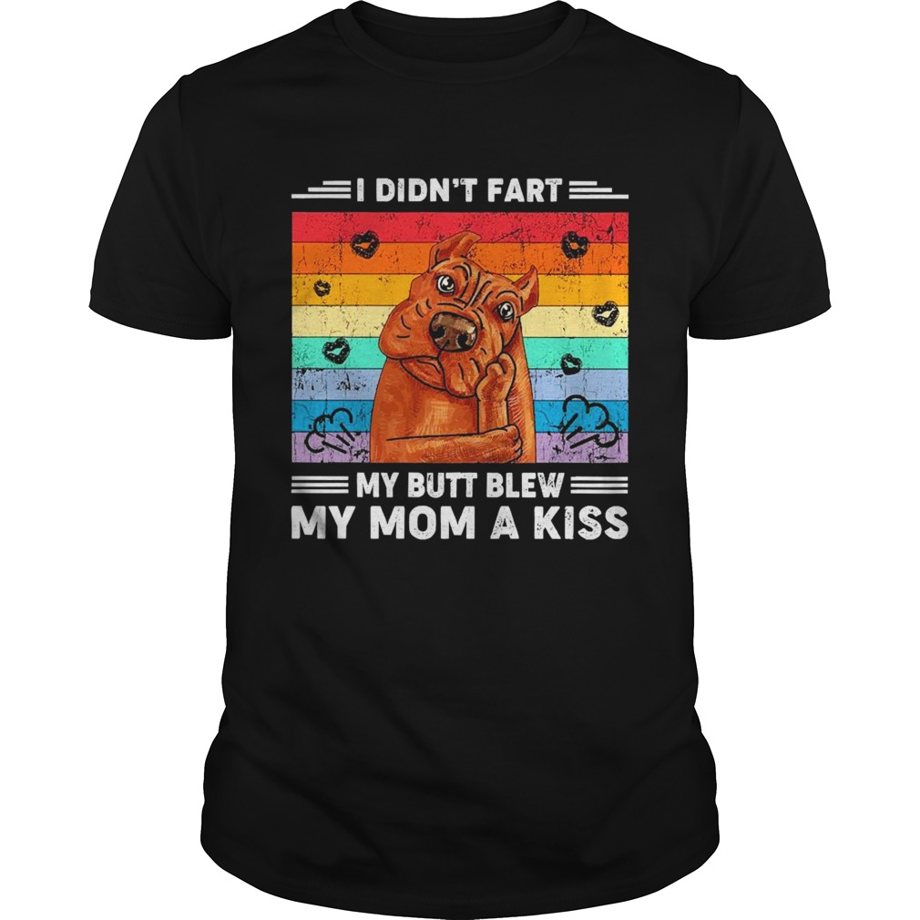 I didnt fart my butt blew my mom a kiss vintage shirt