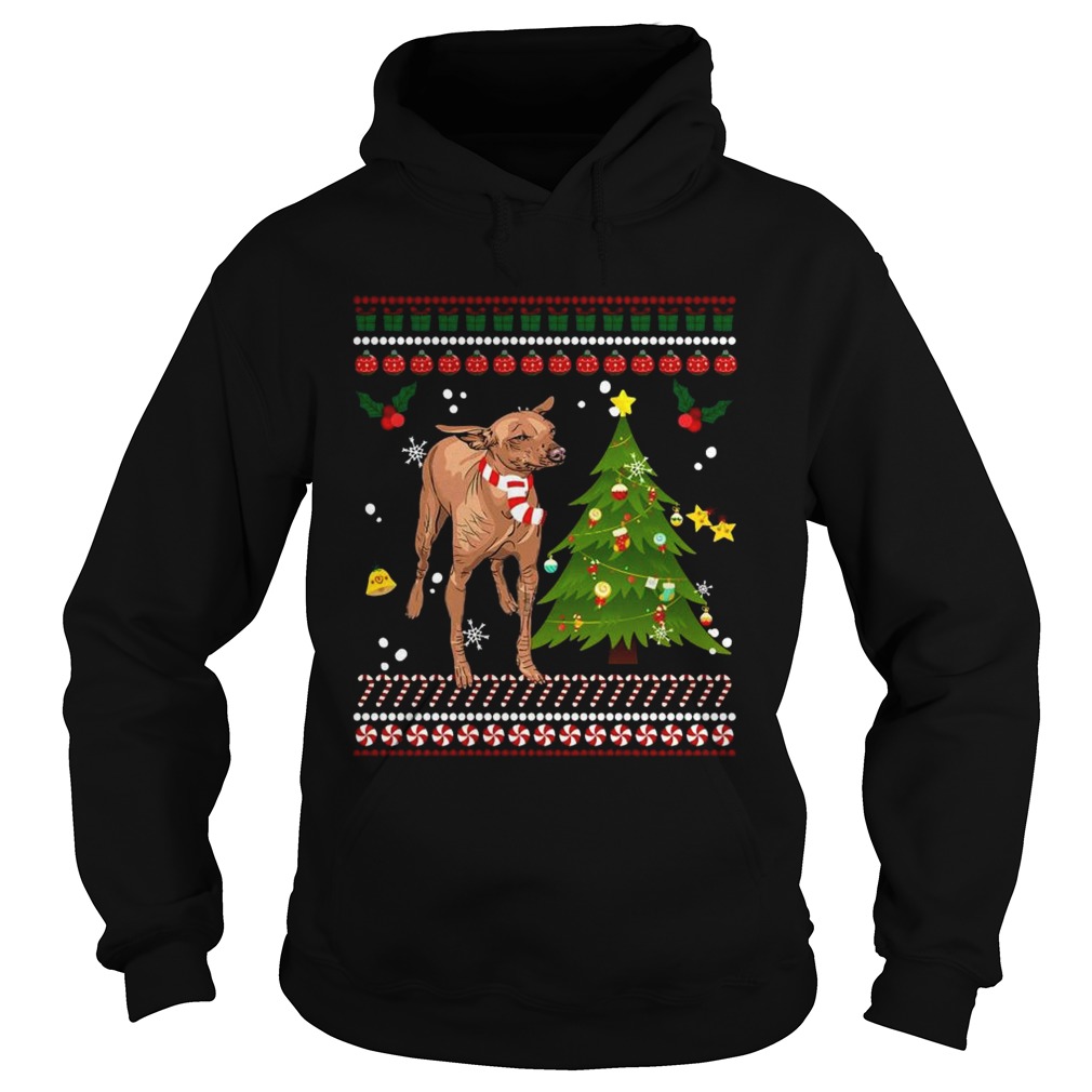 Xoloitzcuintle Reindeer Christmas 2020 Tree Xmas For Hoodie