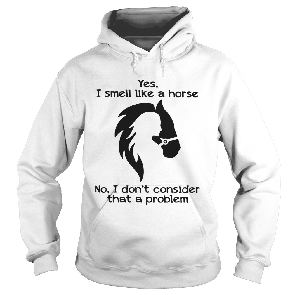 Yes I Smell Like A Horse No I Dont Consider That A Problem  Hoodie