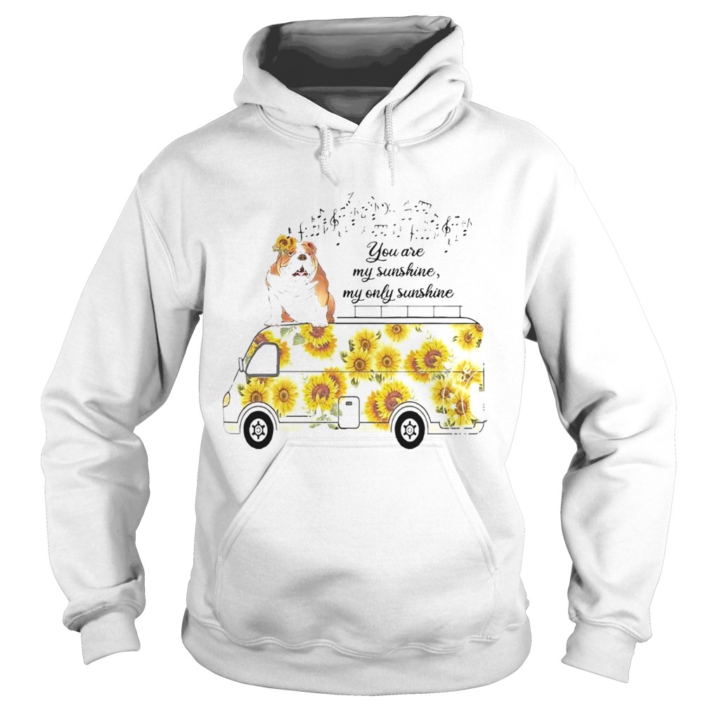 You Are My Sunshine My Only Sunshine Hoodie