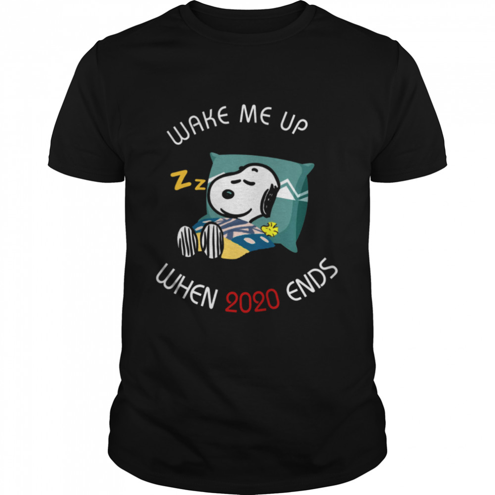 Wake Me Up When 2020 Ends shirt