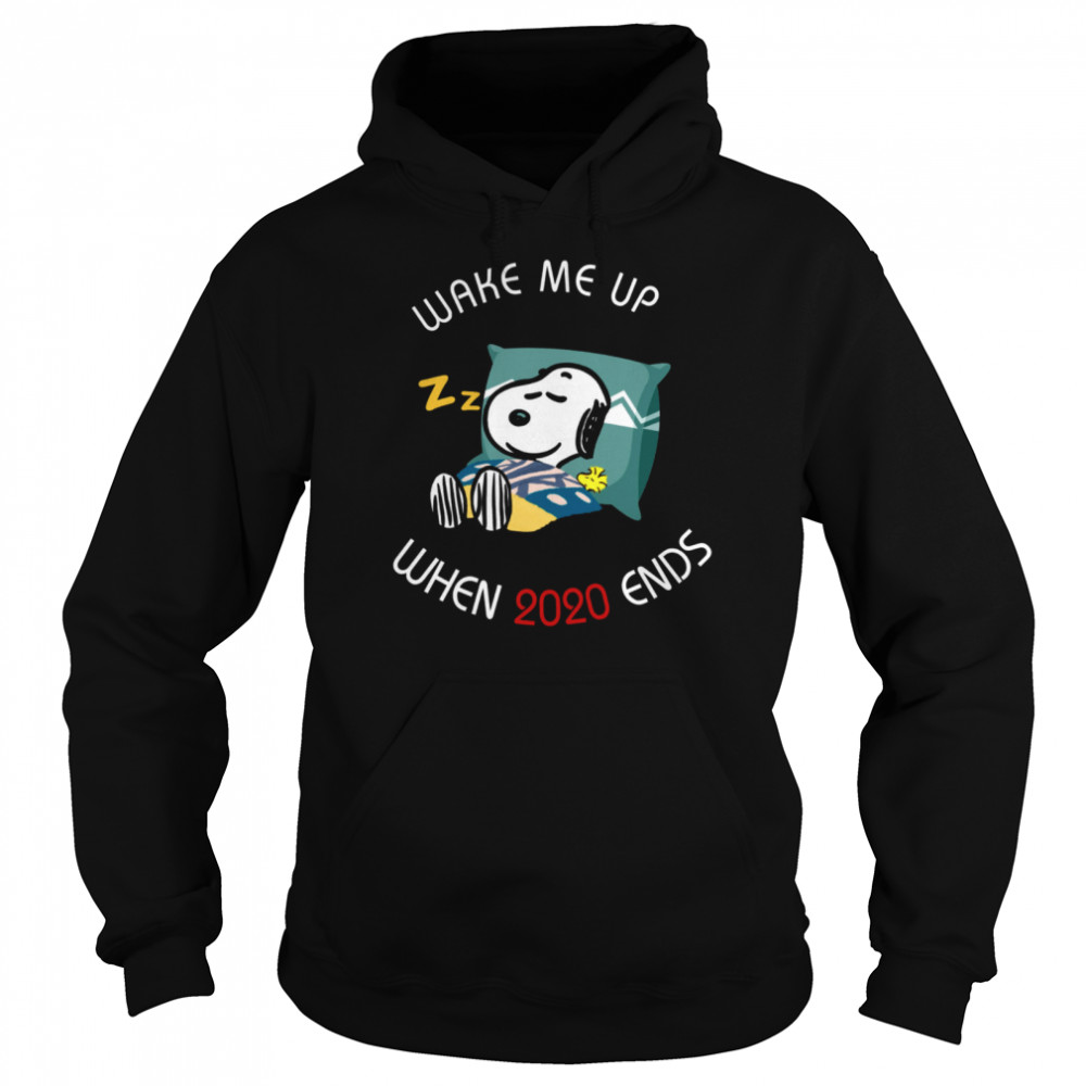 Wake Me Up When 2020 Ends Unisex Hoodie