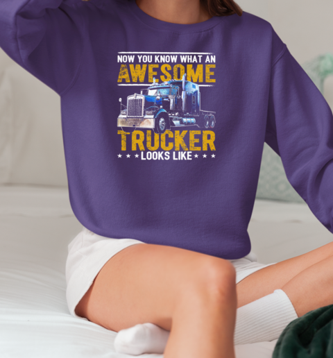 Now You Know What An Awesome Trucker Looks Like T-Shirt Unisex Sweatshirt