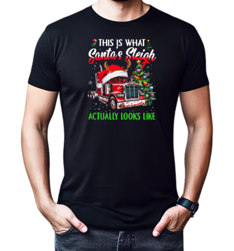 This Is What Santa's Sleigh Actually Looks T-Shirt