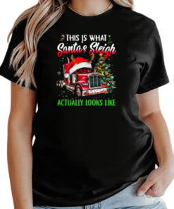 This Is What Santa's Sleigh Actually Looks T-Shirt Classic Women's T-shirt